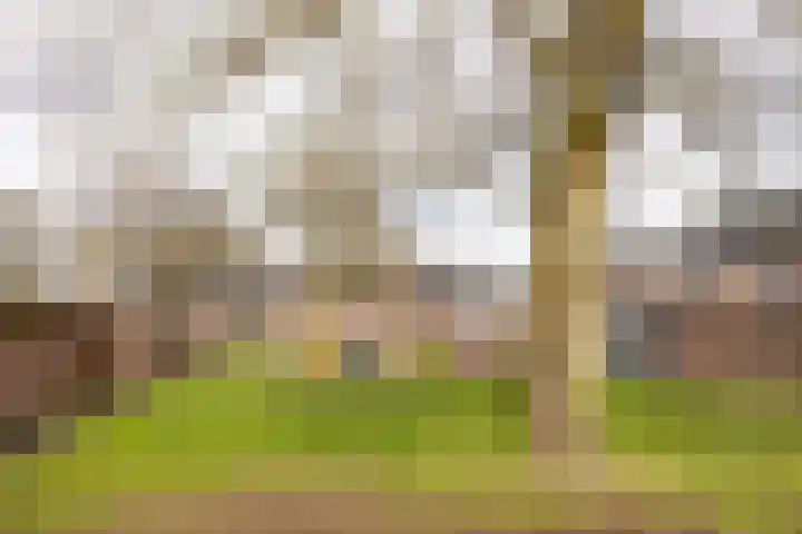 Croessrak 10 Leusden thumbnail 41