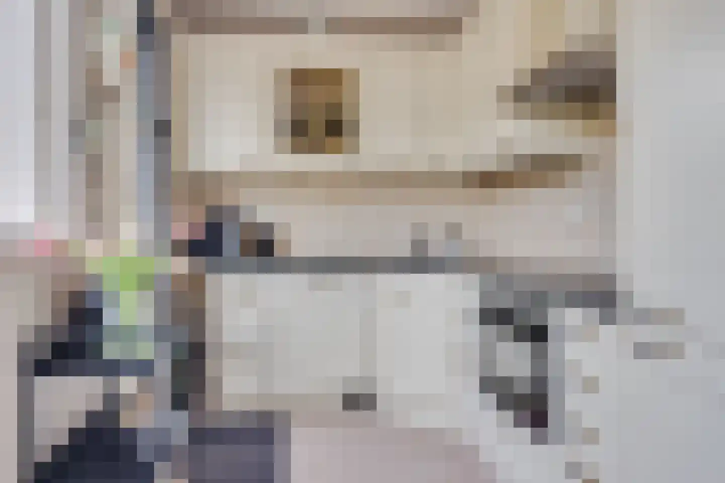 Croessrak 10 Leusden thumbnail 7