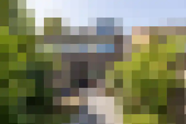 Croessrak 18 Leusden thumbnail 18