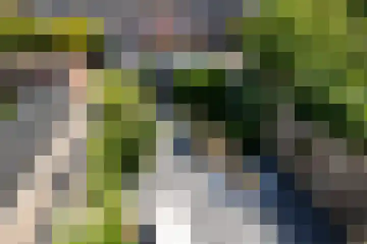 Croessrak 18 Leusden thumbnail 32