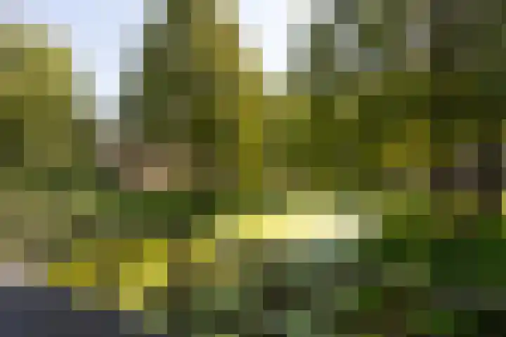 Croessrak 18 Leusden thumbnail 38