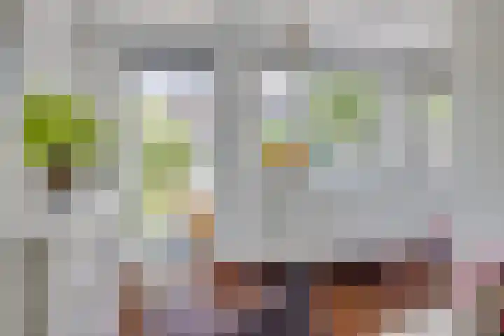Croessrak 18 Leusden thumbnail 9