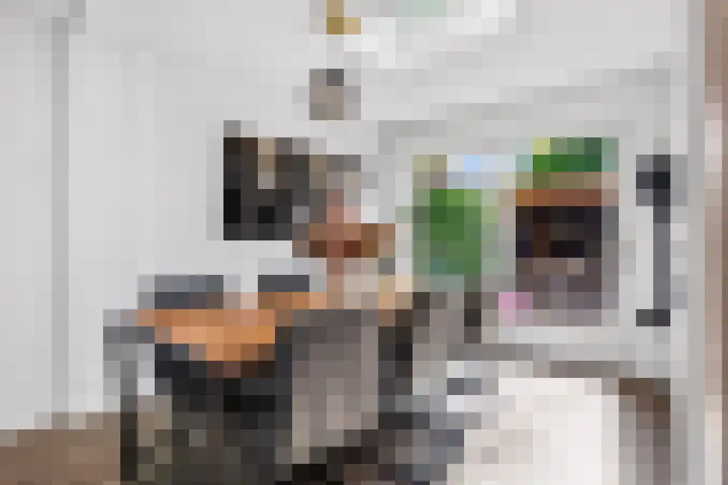 Croessrak 2 Leusden thumbnail 14