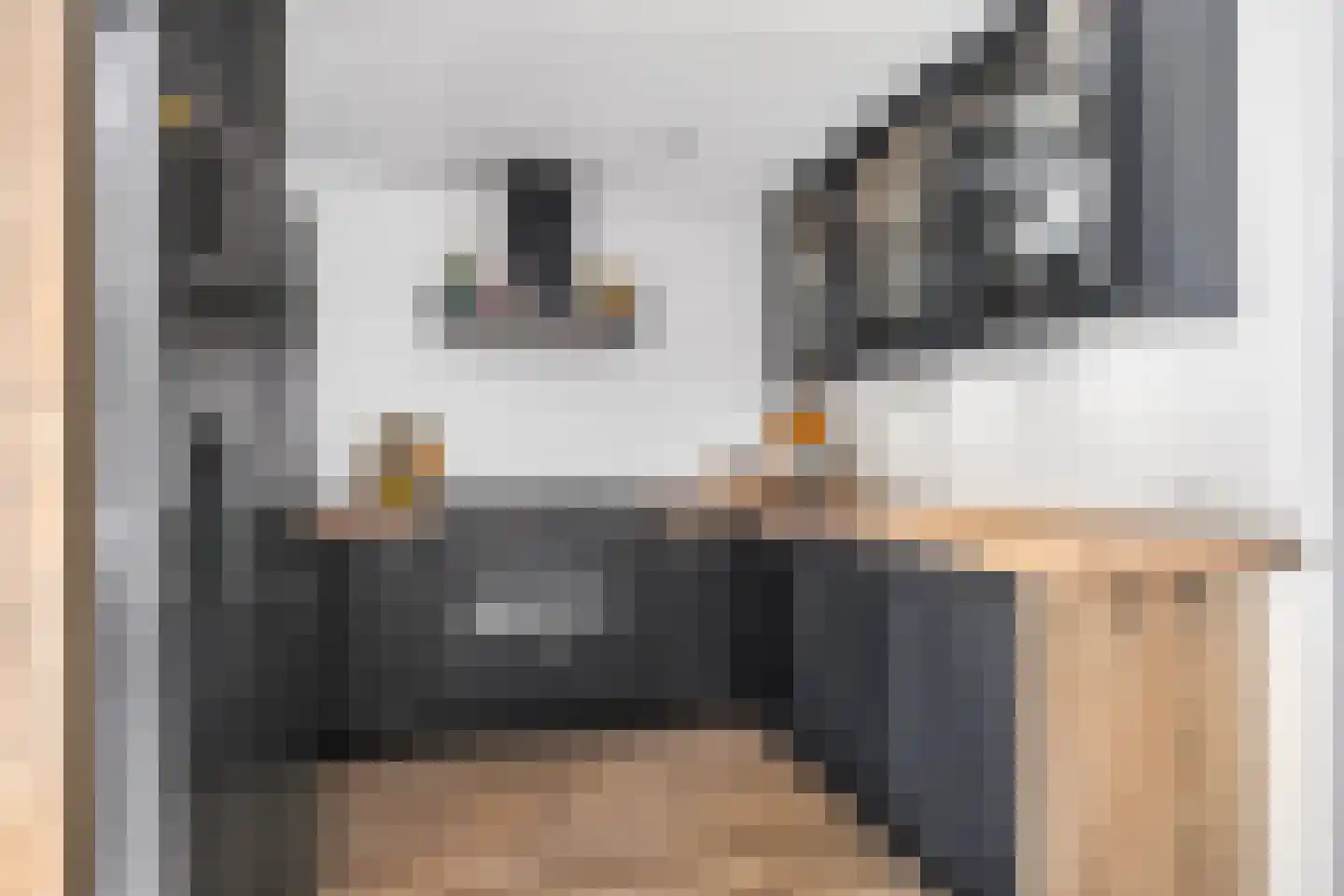 Croessrak 2 Leusden thumbnail 14