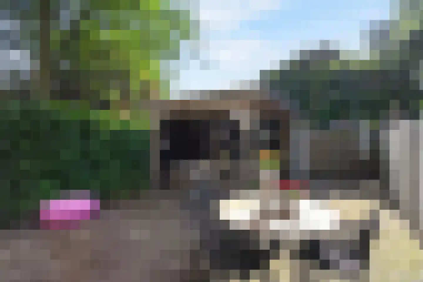 Croessrak 2 Leusden thumbnail 15