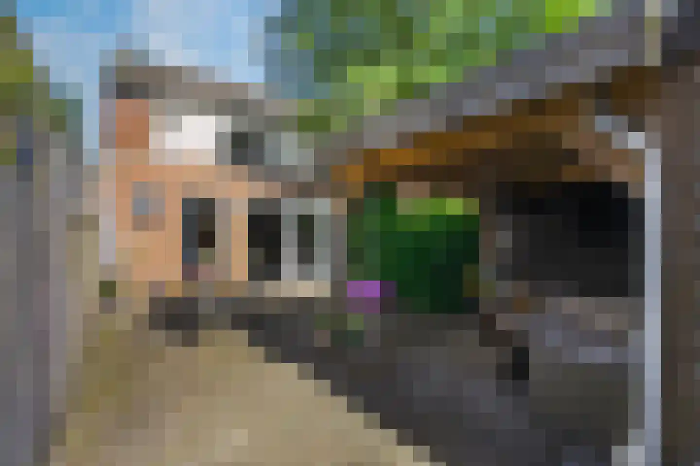 Croessrak 2 Leusden thumbnail 17
