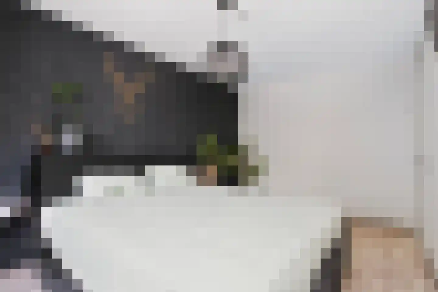 Croessrak 2 Leusden thumbnail 22