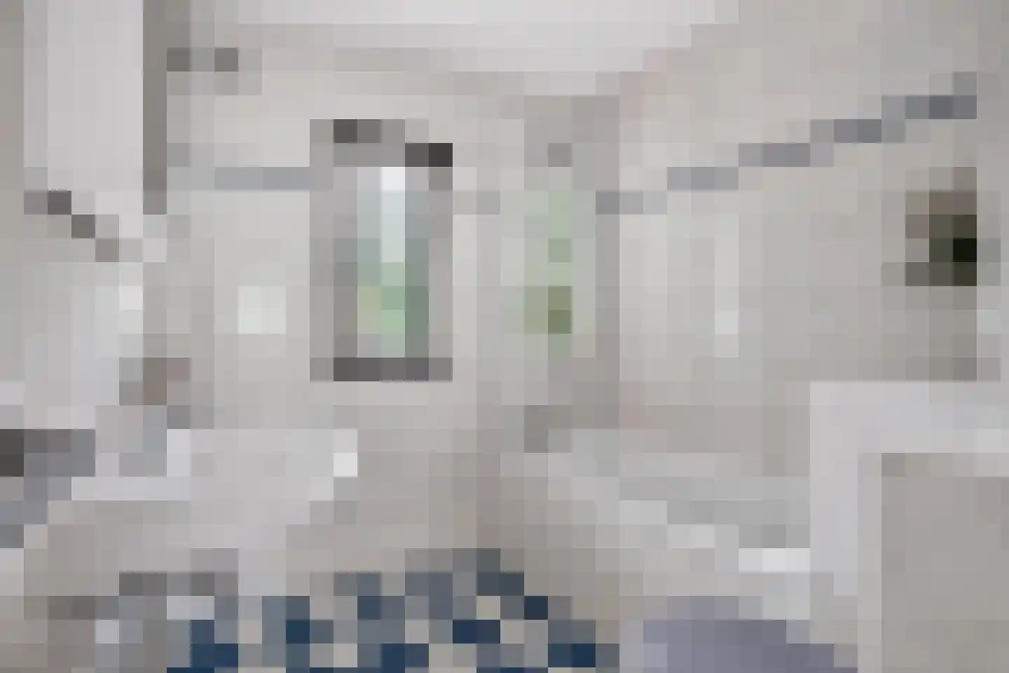 Croessrak 2 Leusden thumbnail 26