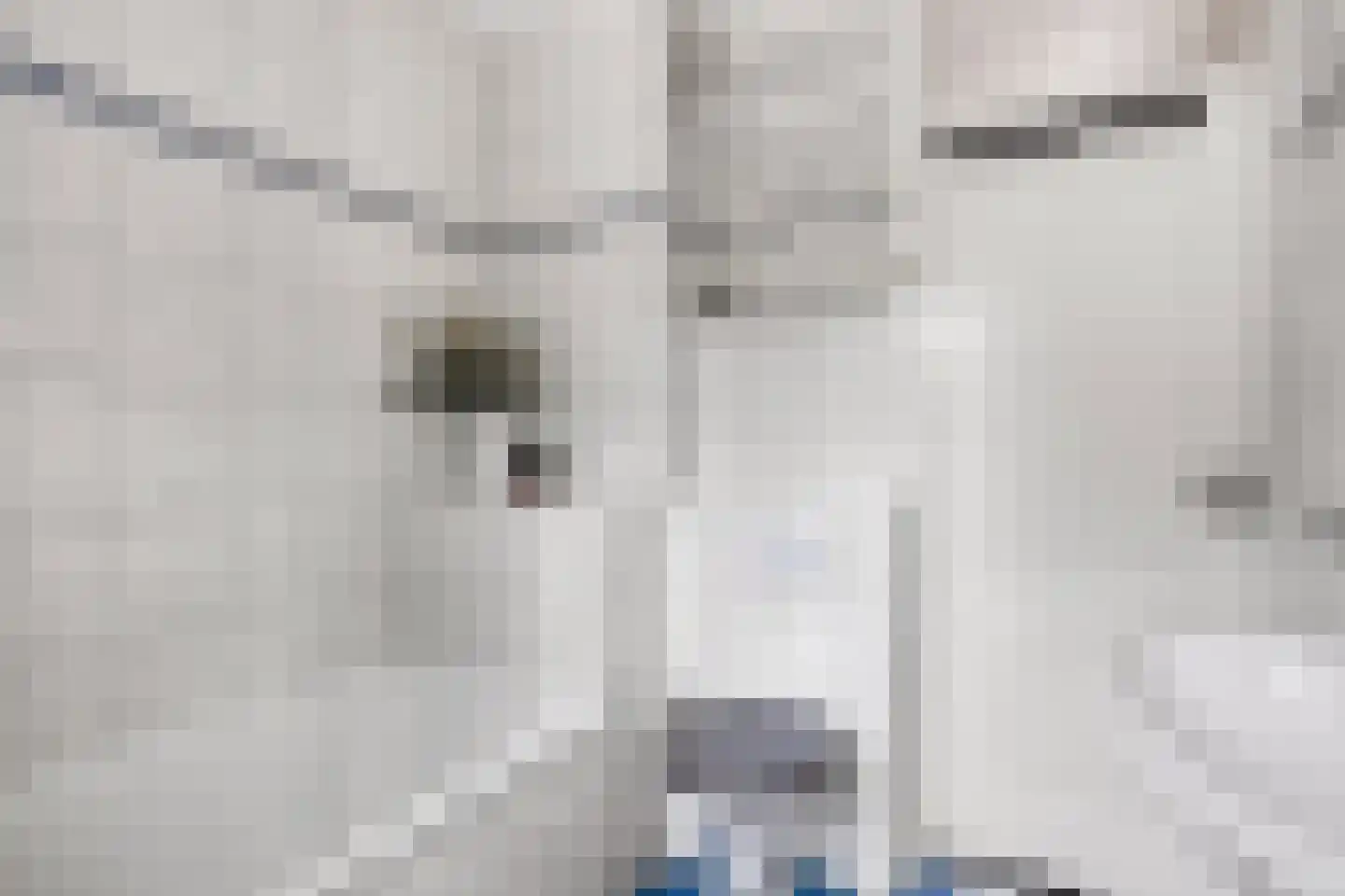 Croessrak 2 Leusden thumbnail 27
