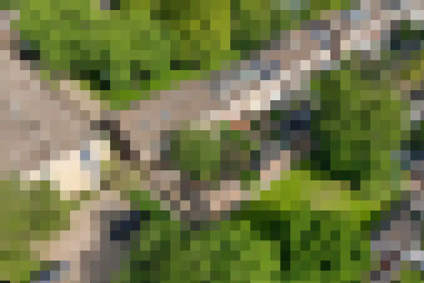 Croessrak 2 Leusden thumbnail 39