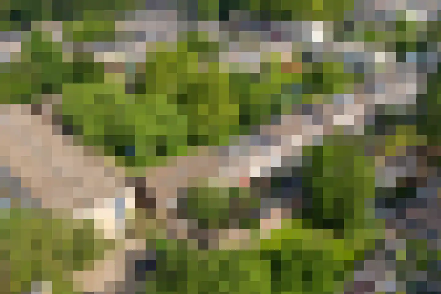 Croessrak 2 Leusden thumbnail 41