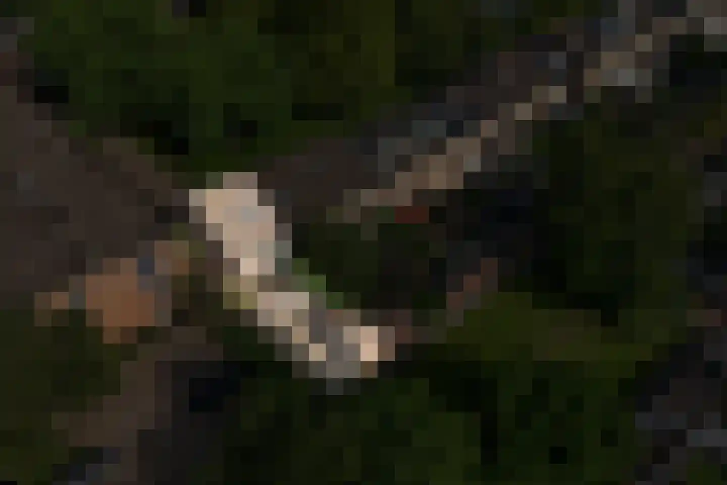 Croessrak 2 Leusden thumbnail 42