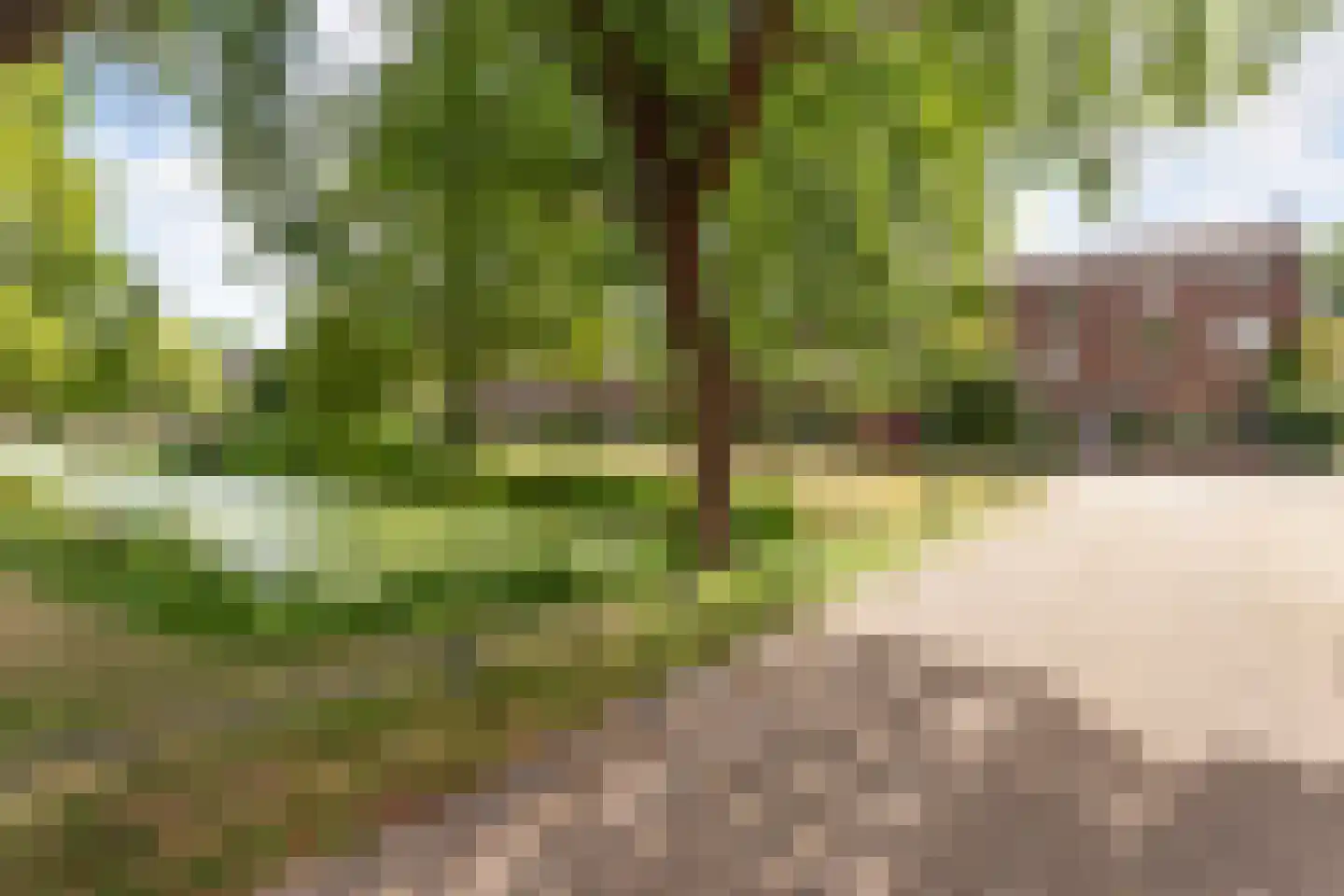 Croessrak 2 Leusden thumbnail 5