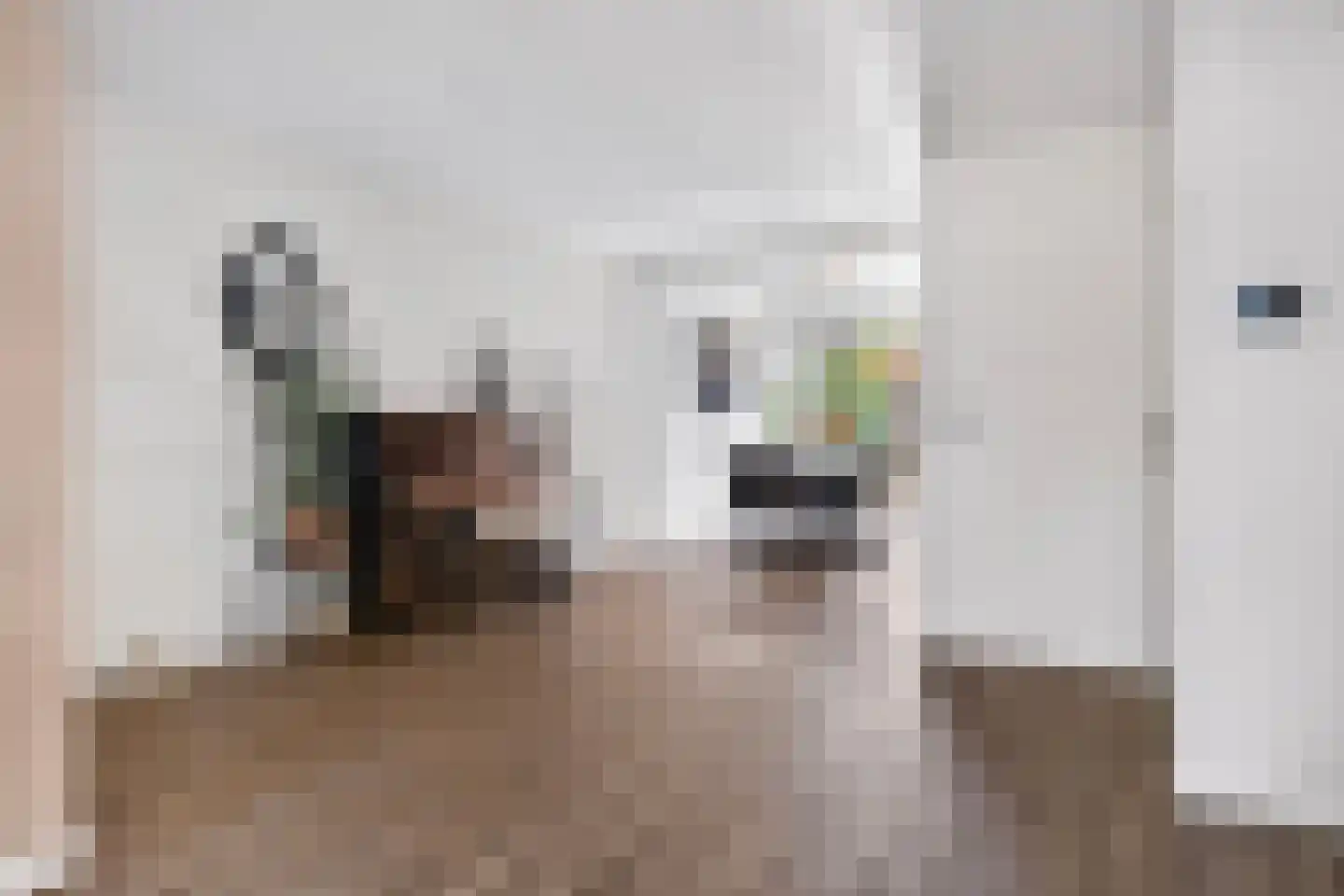 Croessrak 2 Leusden thumbnail 9