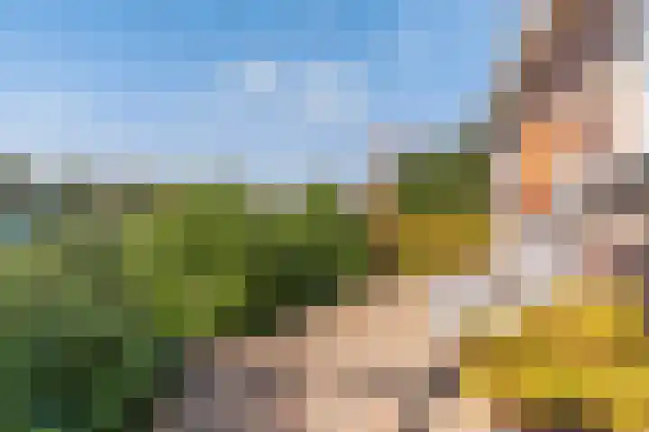 Croleskwartier 11 IJlst thumbnail 18