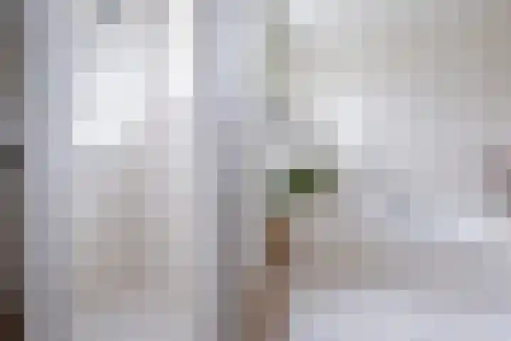 Croleskwartier 11 IJlst thumbnail 32