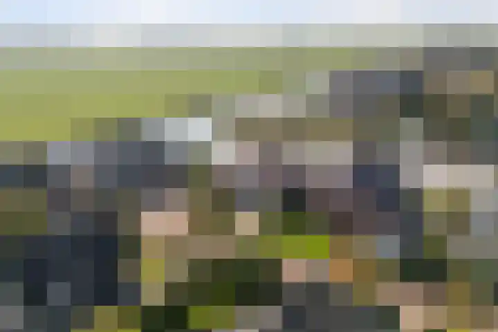 Croleskwartier 11 IJlst thumbnail 54