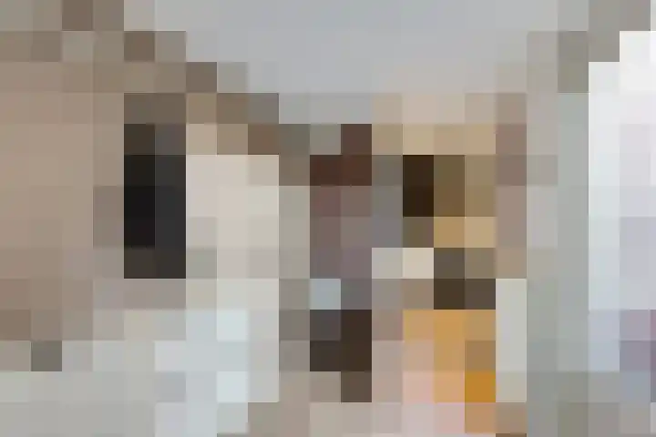 Croleskwartier 122 IJlst thumbnail 13