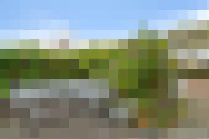Croleskwartier 122 IJlst thumbnail 15