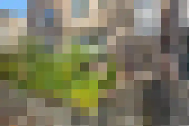Croleskwartier 122 IJlst thumbnail 45