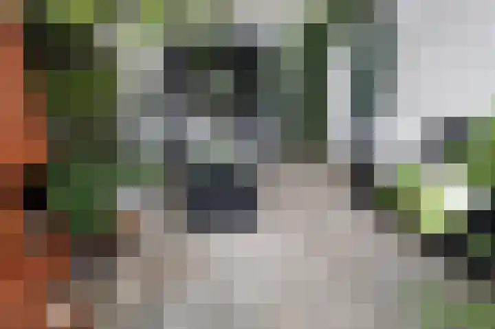 Croleskwartier 8 IJlst thumbnail 10