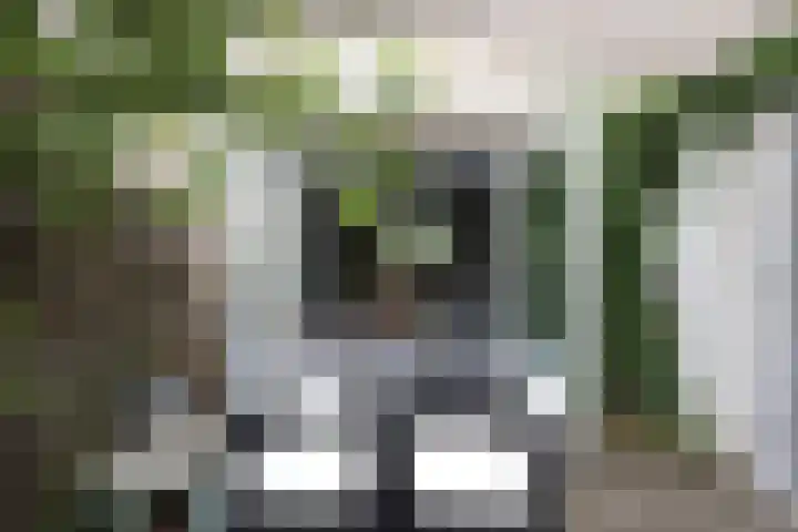 Croleskwartier 8 IJlst thumbnail 11