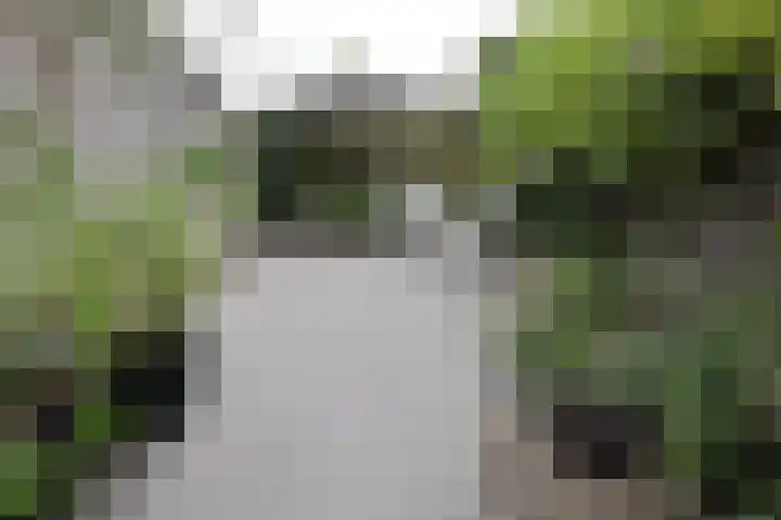 Croleskwartier 8 IJlst thumbnail 12