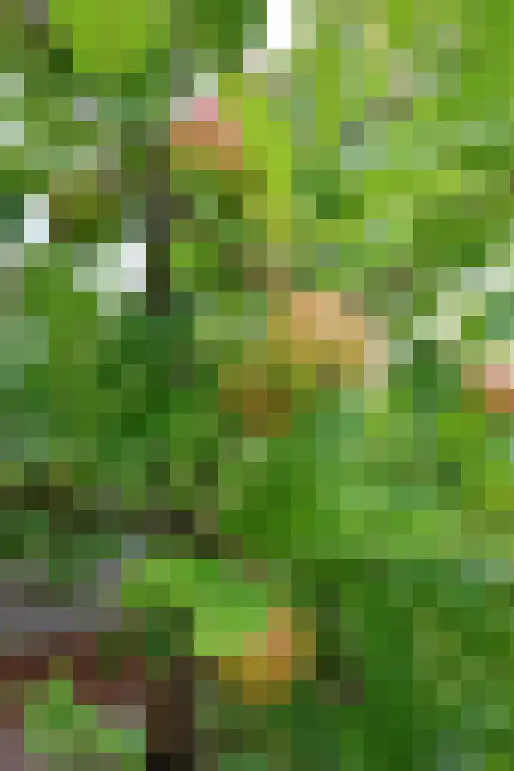 Croleskwartier 8 IJlst thumbnail 13