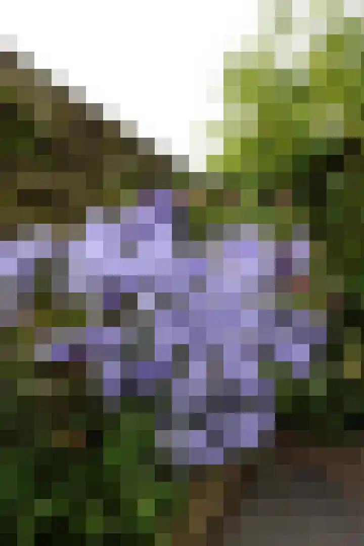 Croleskwartier 8 IJlst thumbnail 14