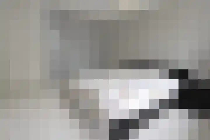 Croleskwartier 8 IJlst thumbnail 29