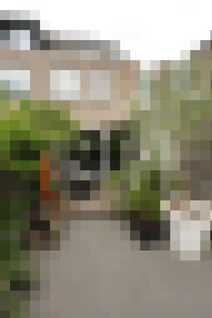 Croleskwartier 8 IJlst foto 3
