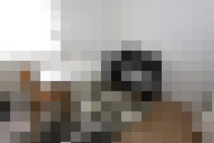 Croleskwartier 8 IJlst thumbnail 33