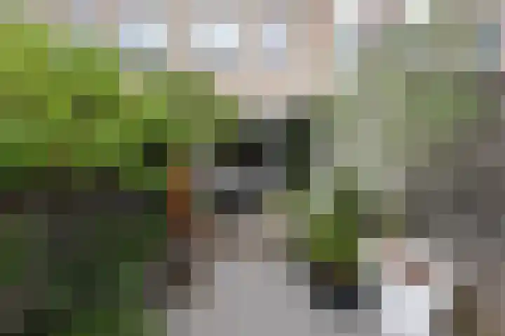 Croleskwartier 8 IJlst thumbnail 4