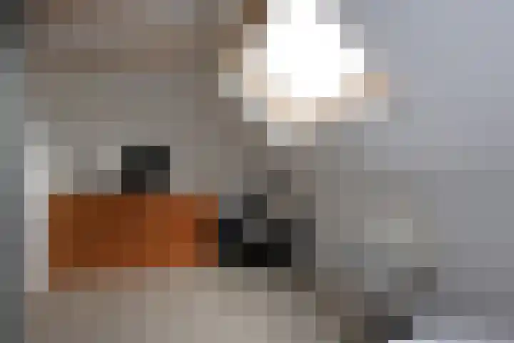 Croleskwartier 8 IJlst thumbnail 40