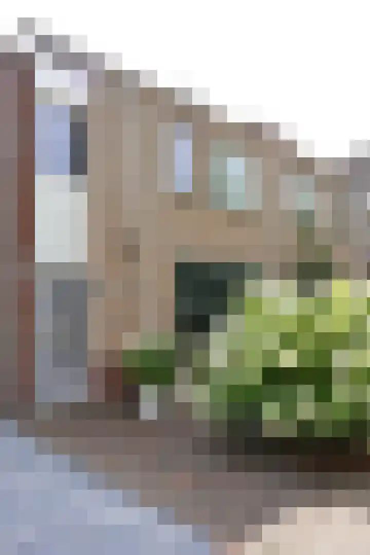 Croleskwartier 8 IJlst thumbnail 6