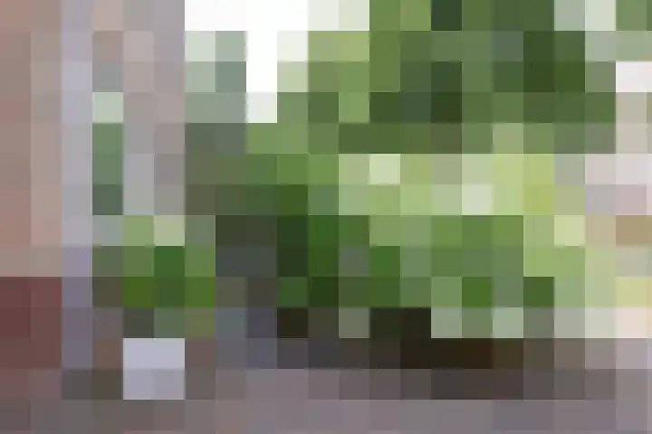 Croleskwartier 8 IJlst thumbnail 7