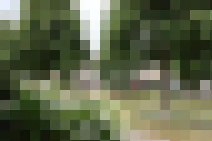 Croleskwartier 8 IJlst thumbnail 8