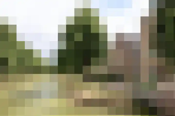 Croleskwartier 8 IJlst thumbnail 9