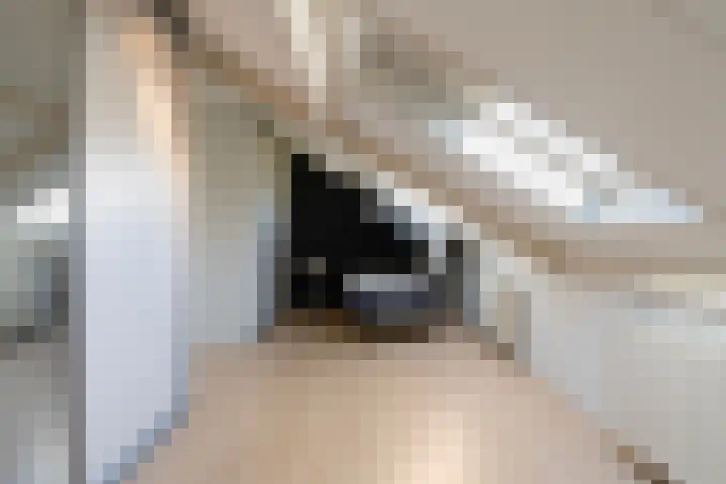 Croleskwartier 9 IJlst thumbnail 42