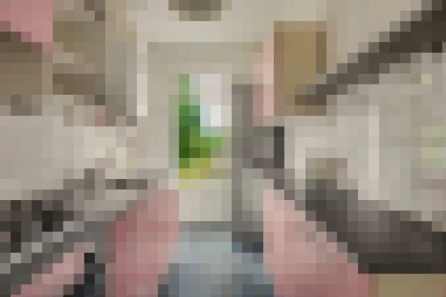 Cromhoutlaan 14 Rijswijk thumbnail 15