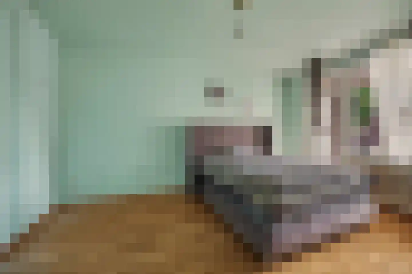 Cromhoutlaan 14 Rijswijk thumbnail 18