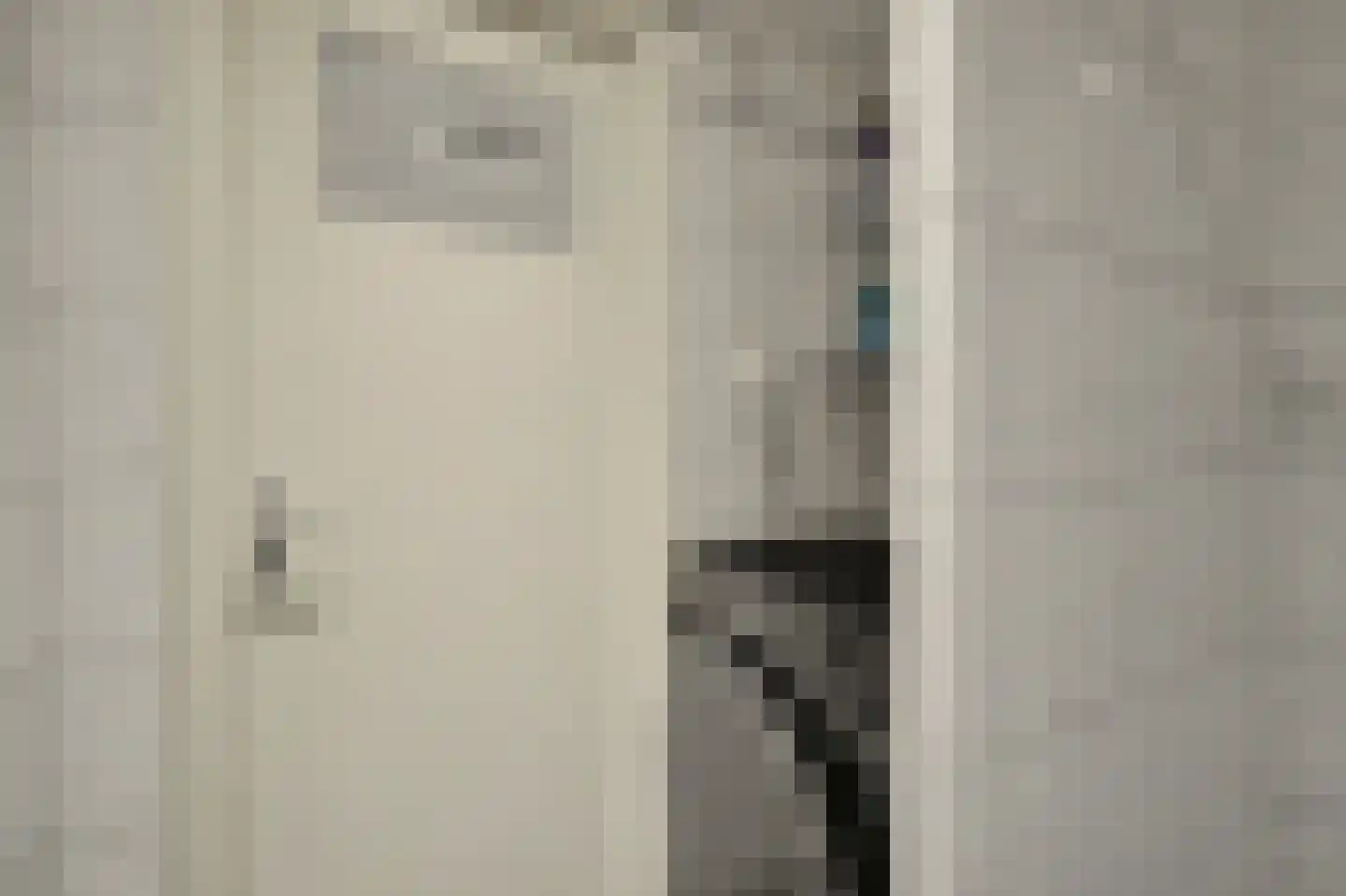 Cromhoutlaan 14 Rijswijk thumbnail 27