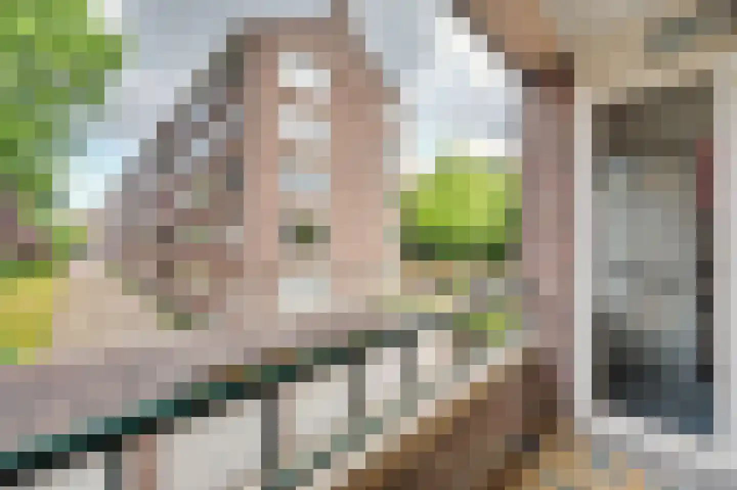 Cromhoutlaan 14 Rijswijk thumbnail 31
