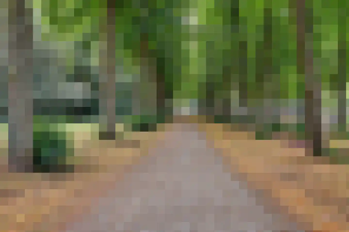 Cromhoutlaan 14 Rijswijk thumbnail 36