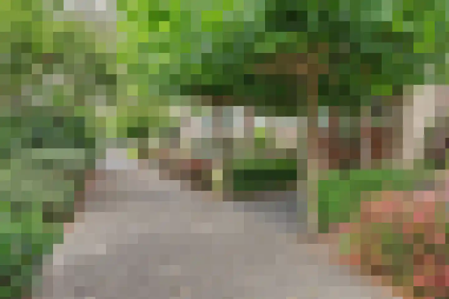 Cromhoutlaan 14 Rijswijk thumbnail 4