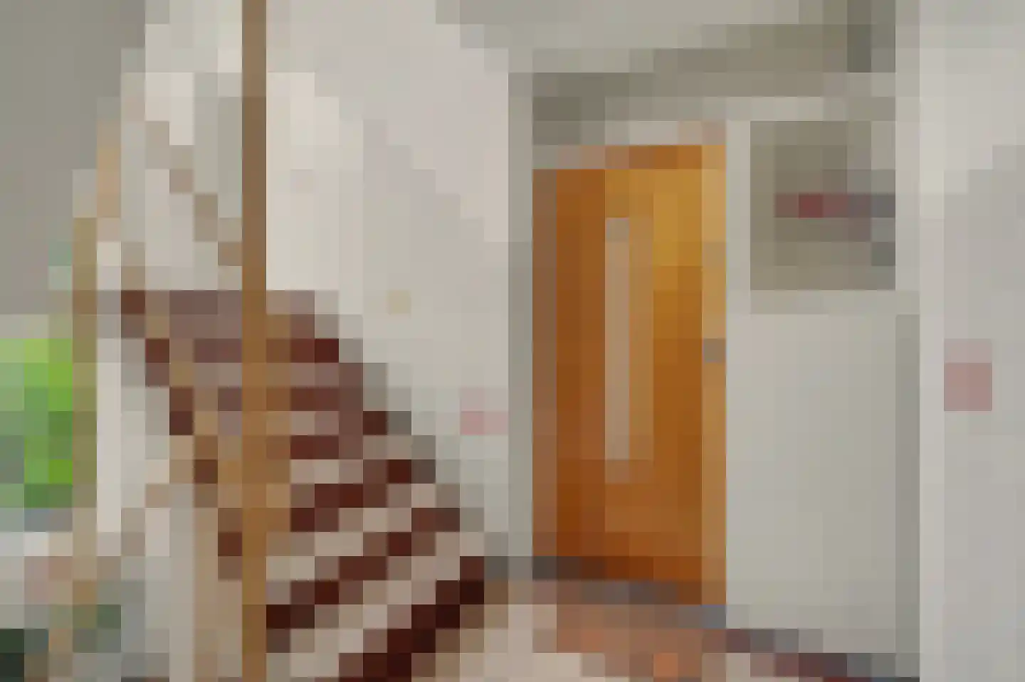 Cromhoutlaan 14 Rijswijk thumbnail 7