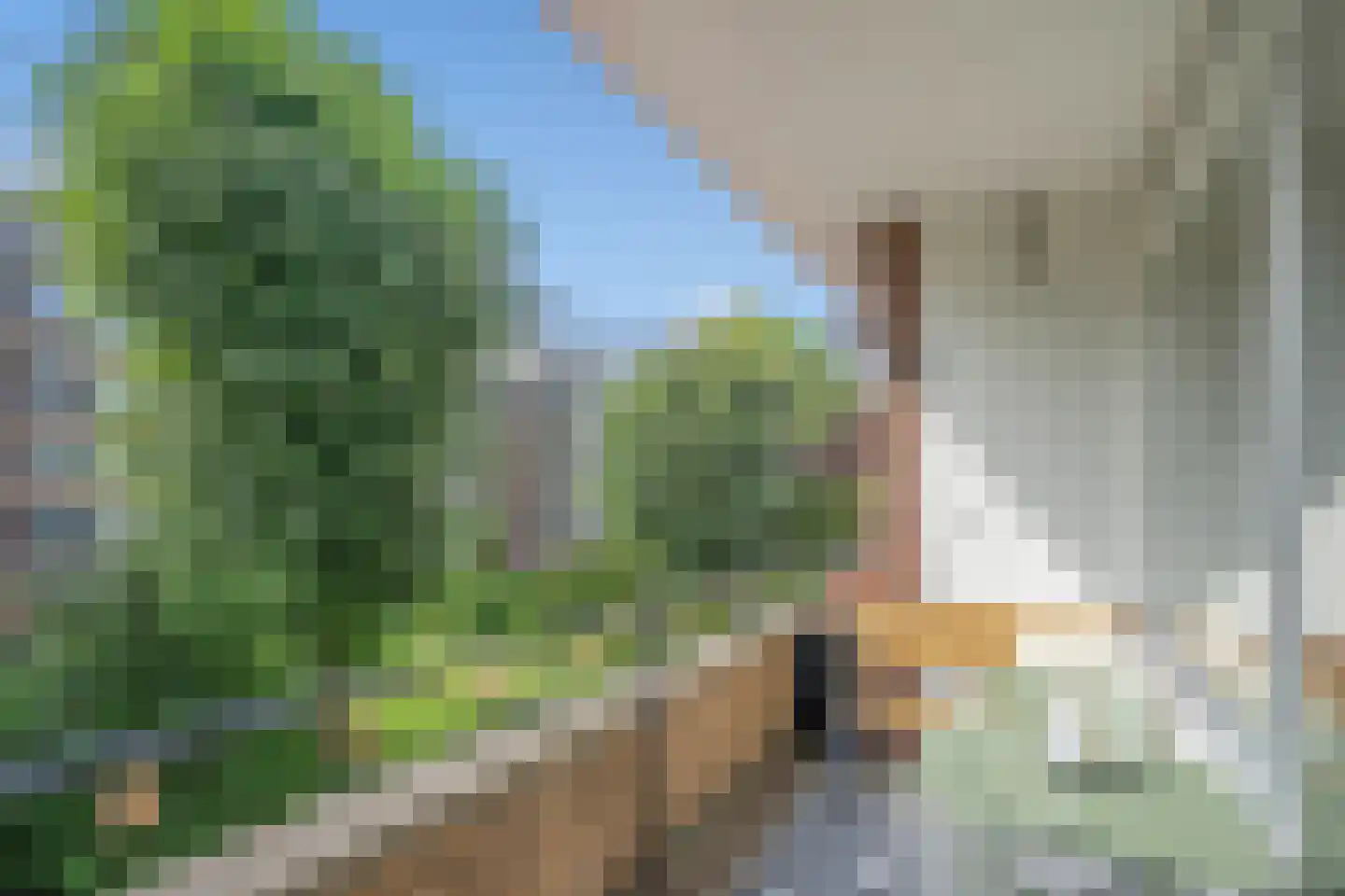 Cromhoutlaan 17 Rijswijk thumbnail 19