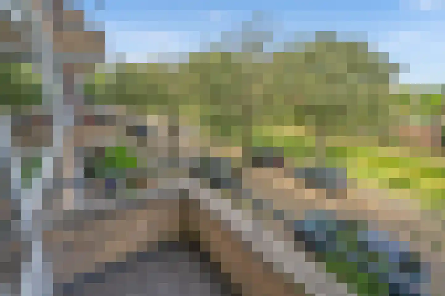 Cromhoutlaan 17 Rijswijk thumbnail 23
