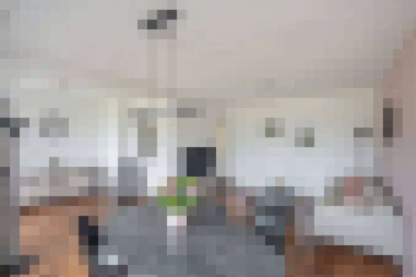 Cromhoutlaan 17 Rijswijk thumbnail 6