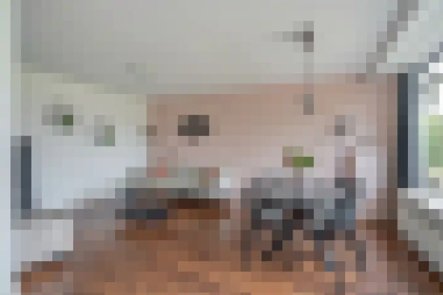 Cromhoutlaan 17 Rijswijk thumbnail 7